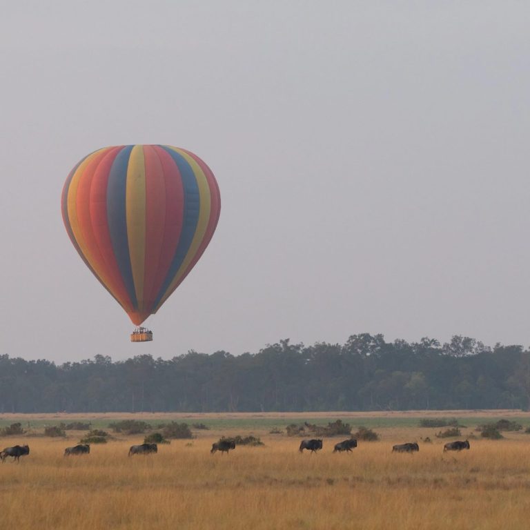 safari en globo