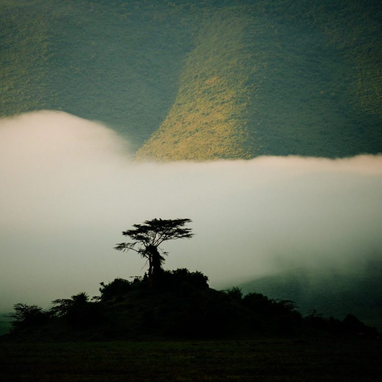 niebla en montaña